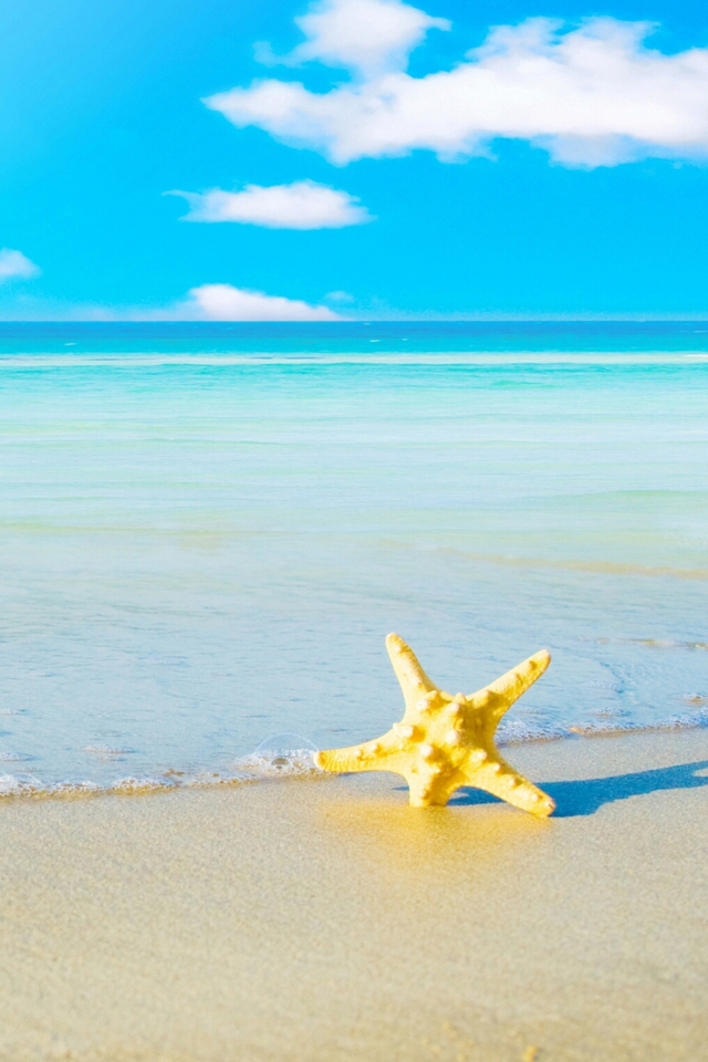 Fondo de pantalla Starfish at summer beach 640x960