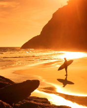 Das Surfing Summer Wallpaper 176x220