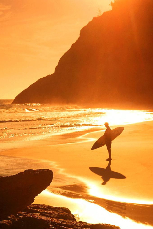 Обои Surfing Summer 640x960