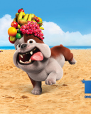 Luiz Bulldog in Rio wallpaper 128x160