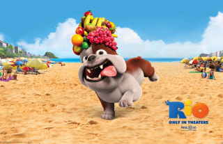 Free Luiz Bulldog in Rio Picture for Android, iPhone and iPad
