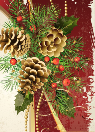 Pine Cones - Fondos de pantalla gratis para 480x800