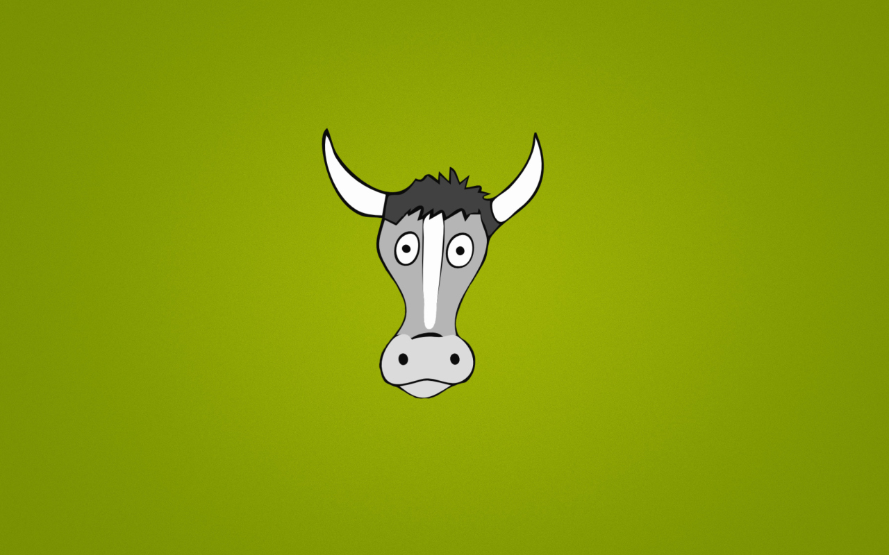 Cow wallpaper 1280x800