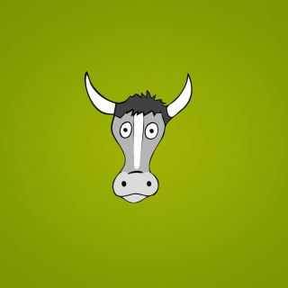 Cow Picture for iPad Air