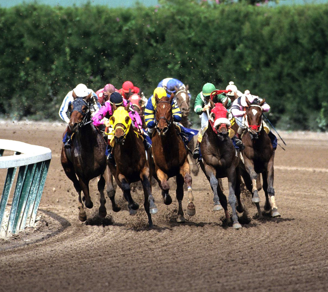 Обои Jockeys Riding Horses 1080x960