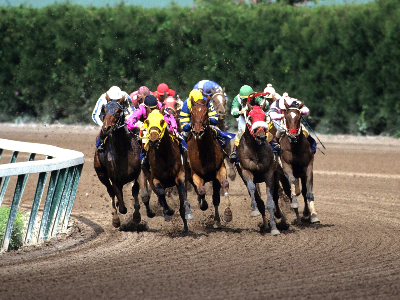 Jockeys Riding Horses screenshot #1 1280x960