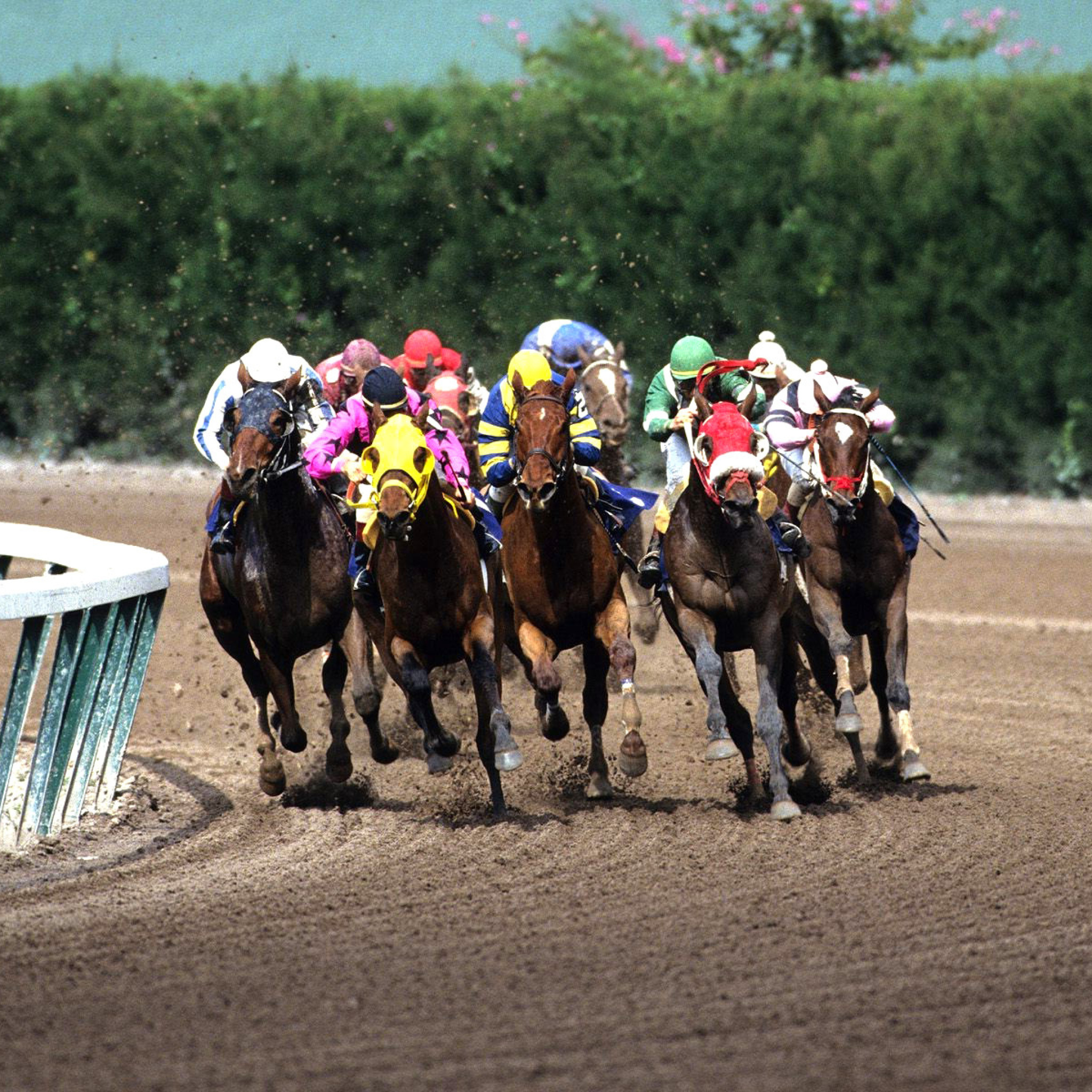 Sfondi Jockeys Riding Horses 2048x2048