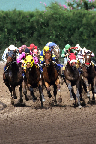 Fondo de pantalla Jockeys Riding Horses 320x480