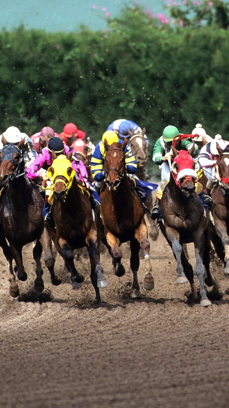 Sfondi Jockeys Riding Horses 750x1334