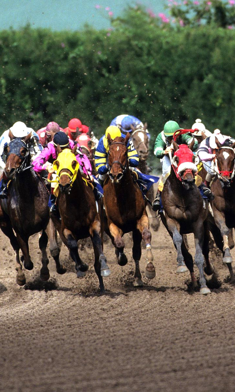 Fondo de pantalla Jockeys Riding Horses 768x1280