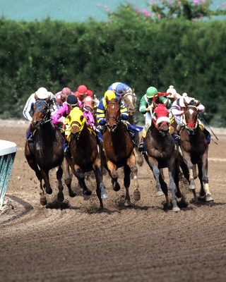 Jockeys Riding Horses - Fondos de pantalla gratis para Samsung Dash