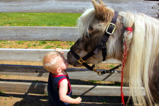 I Love My Pony - Obrázkek zdarma pro Samsung Galaxy Tab 10.1