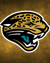 Fondo de pantalla Jacksonville Jaguars NFL 176x220