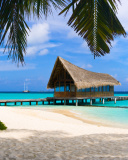 Fondo de pantalla Bahamas Grand Lucayan Resort 128x160