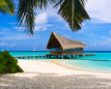 Bahamas Grand Lucayan Resort screenshot #1 220x176