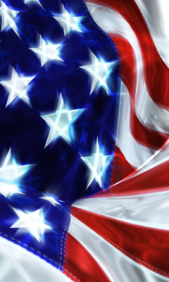USA Flag Celebration wallpaper 240x400