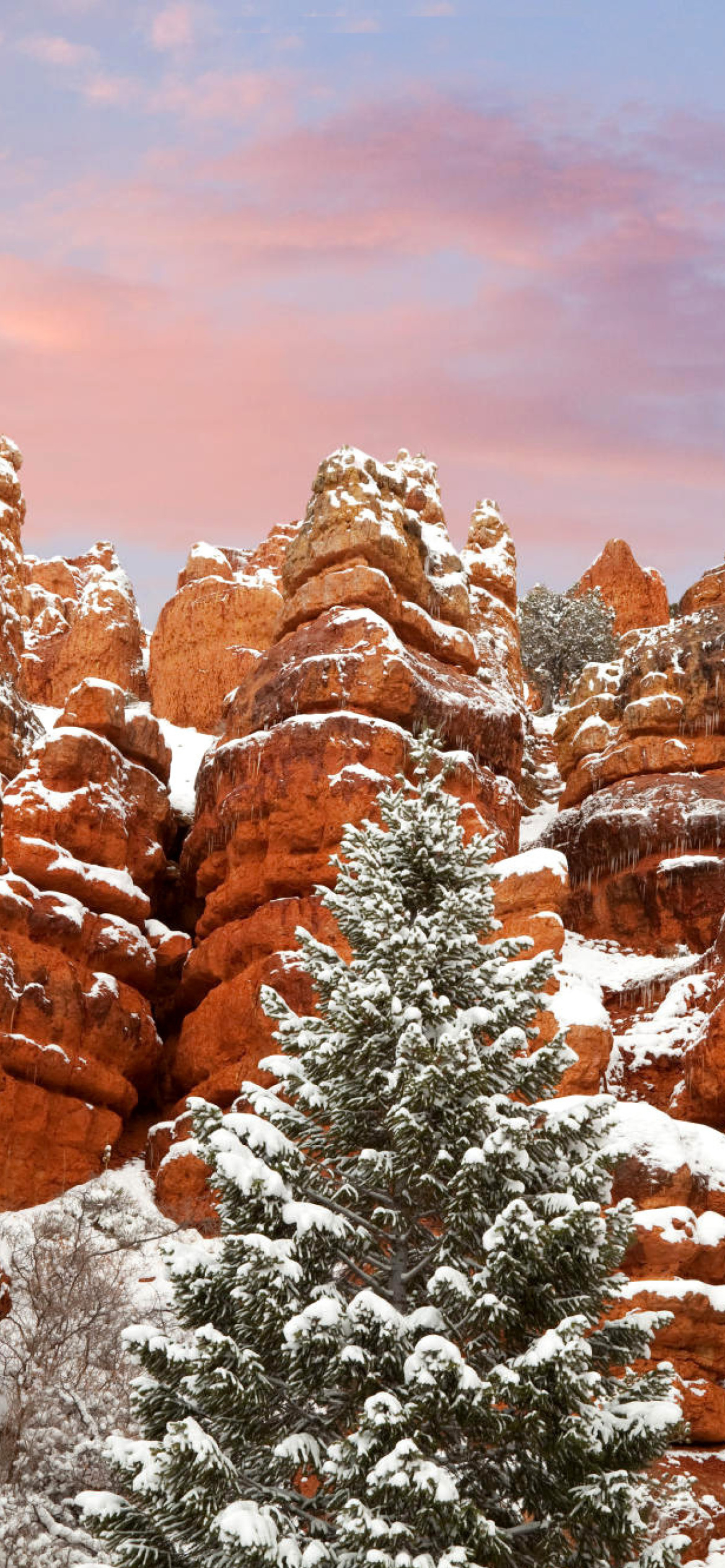 Screenshot №1 pro téma Snow in Red Canyon State Park, Utah 1170x2532