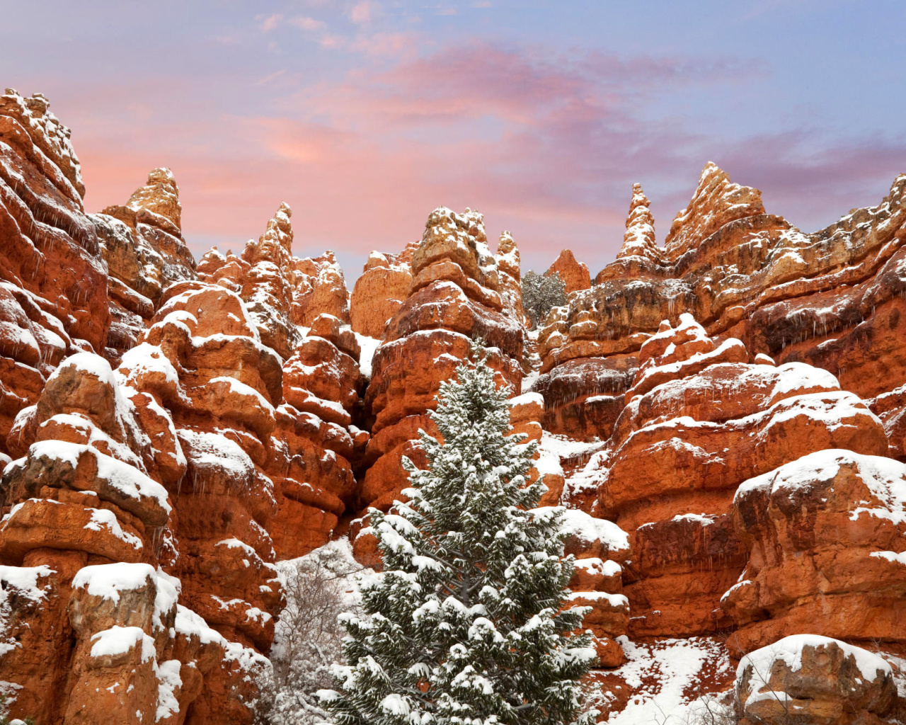 Snow in Red Canyon State Park, Utah wallpaper 1280x1024