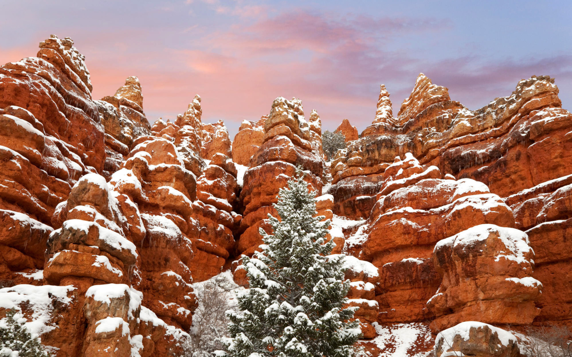 Обои Snow in Red Canyon State Park, Utah 1920x1200