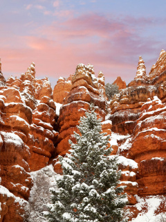 Das Snow in Red Canyon State Park, Utah Wallpaper 240x320