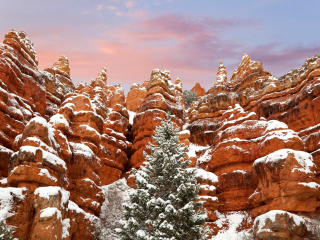 Snow in Red Canyon State Park, Utah wallpaper 320x240