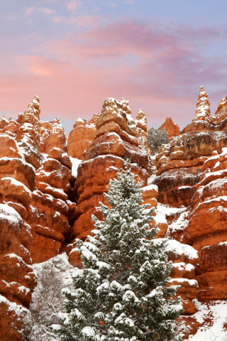 Snow in Red Canyon State Park, Utah wallpaper 320x480