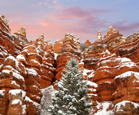 Screenshot №1 pro téma Snow in Red Canyon State Park, Utah 480x400