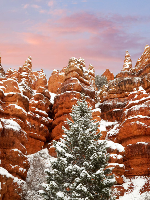 Snow in Red Canyon State Park, Utah wallpaper 480x640