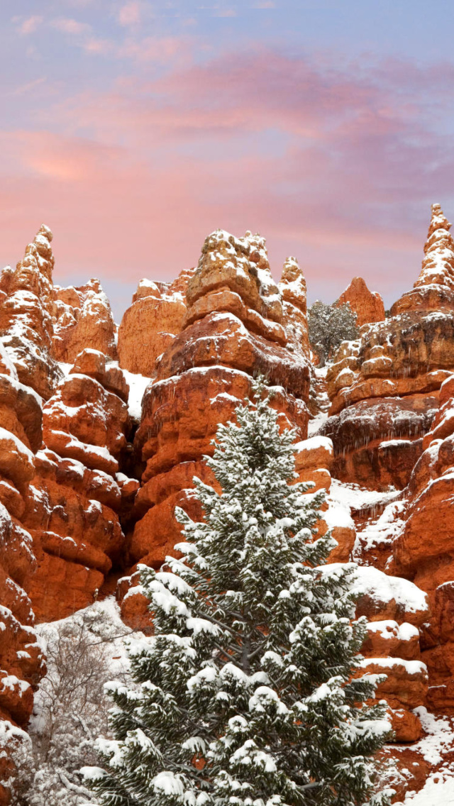 Snow in Red Canyon State Park, Utah wallpaper 640x1136