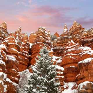 Snow in Red Canyon State Park, Utah papel de parede para celular para iPad 3