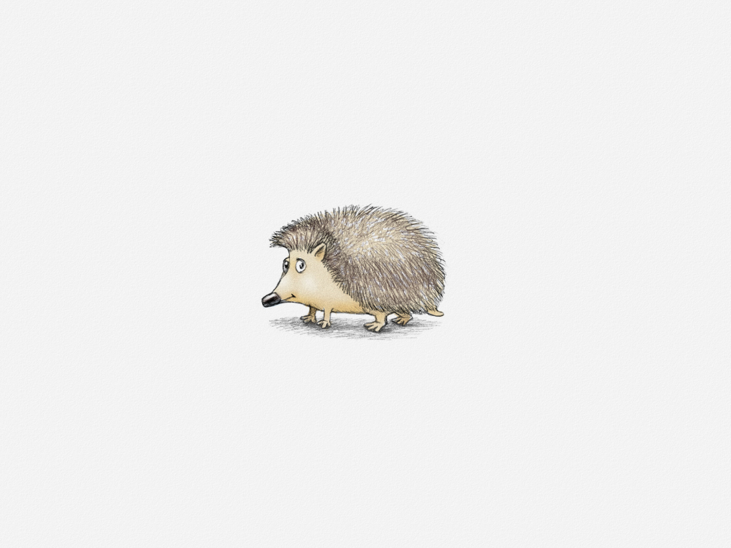 Hedgehog Illustration wallpaper 1024x768