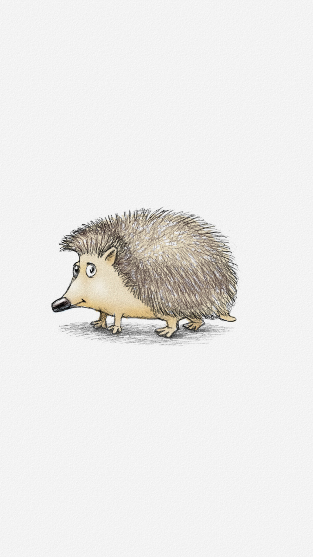 Fondo de pantalla Hedgehog Illustration 1080x1920