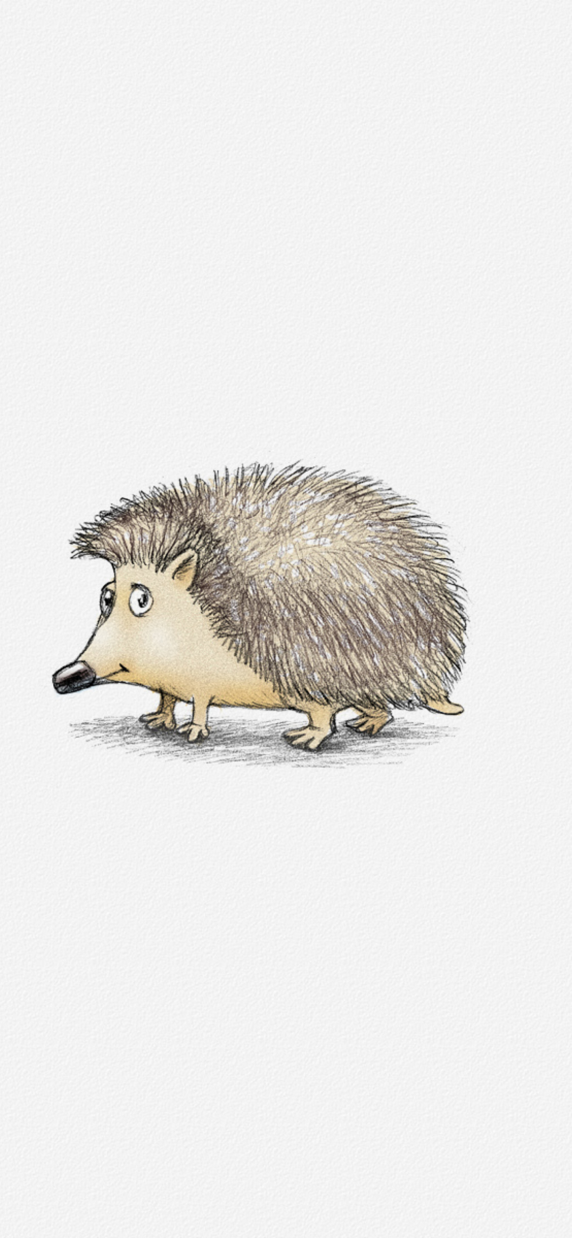 Hedgehog Illustration wallpaper 1170x2532
