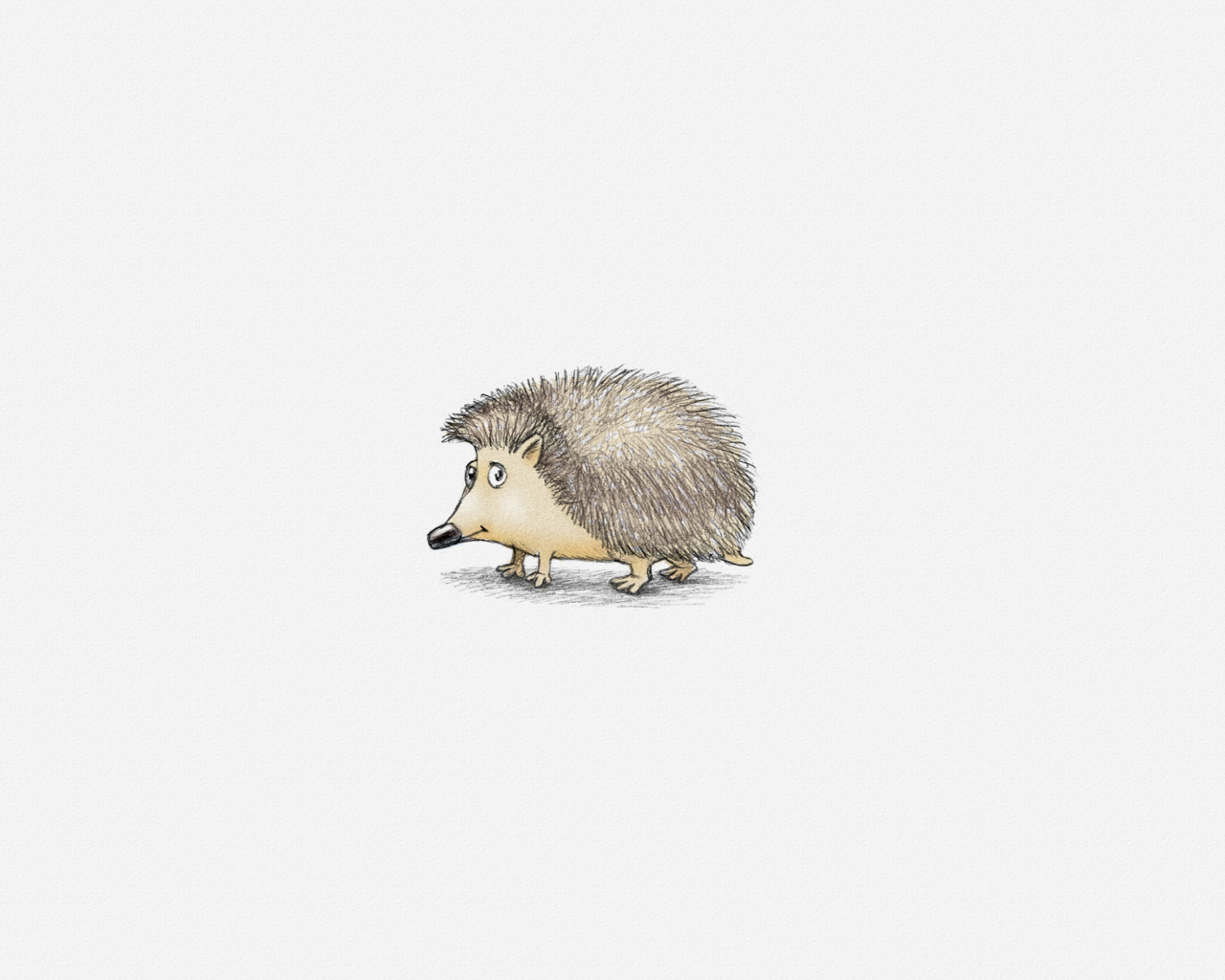Hedgehog Illustration screenshot #1 1280x1024