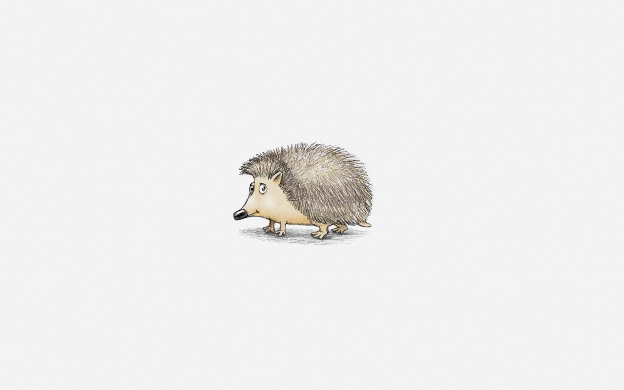 Hedgehog Illustration wallpaper 1280x800