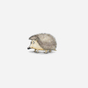 Hedgehog Illustration wallpaper 128x128