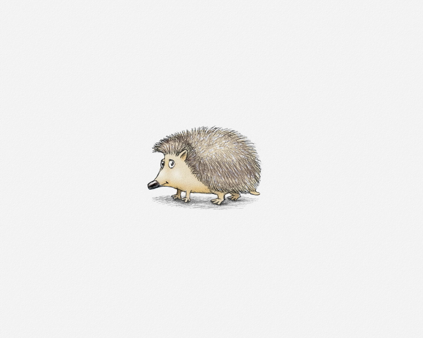Hedgehog Illustration wallpaper 1600x1280