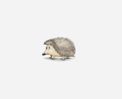 Hedgehog Illustration wallpaper 176x144