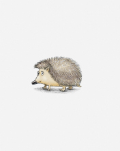 Hedgehog Illustration wallpaper 176x220