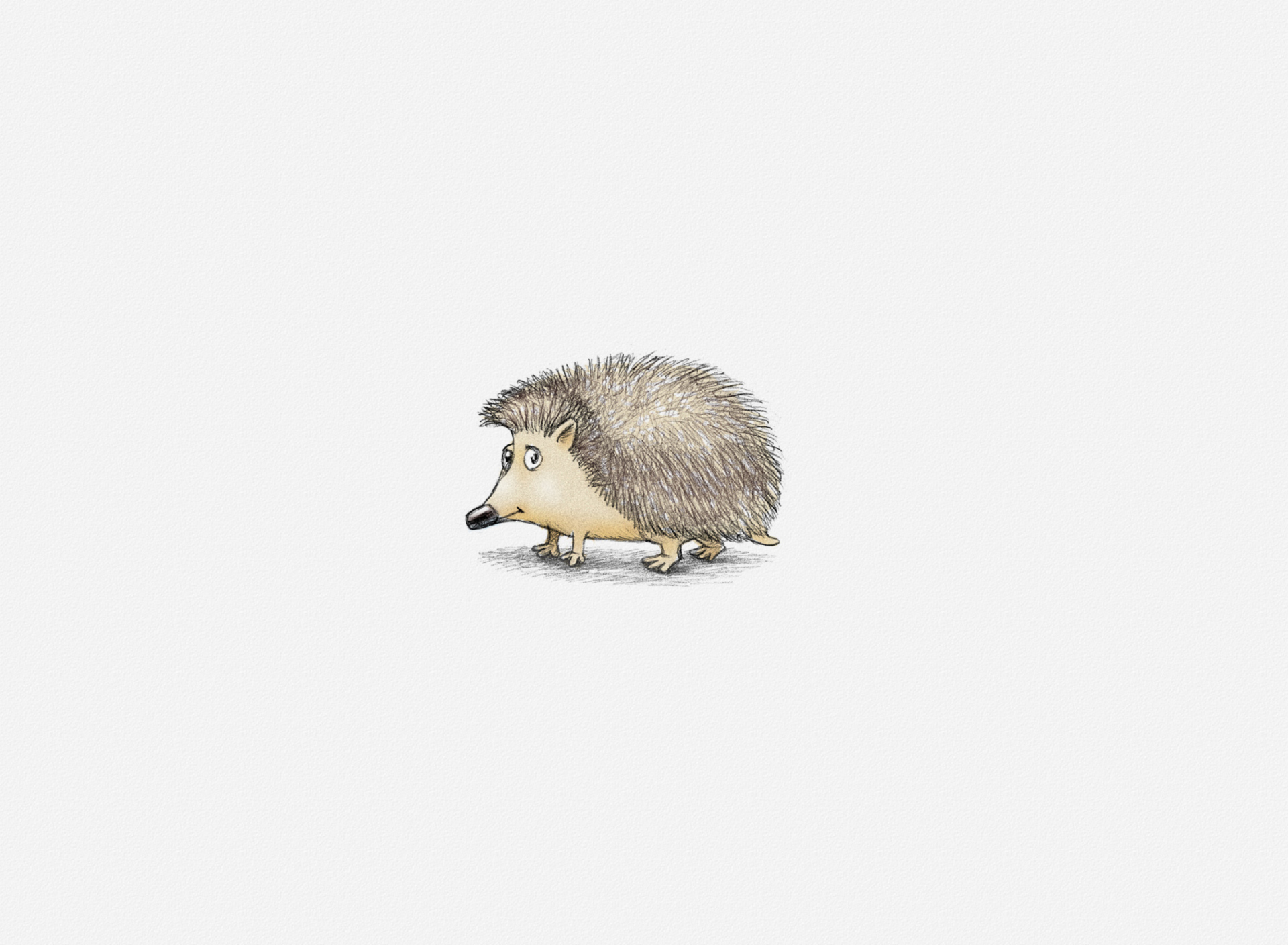 Обои Hedgehog Illustration 1920x1408