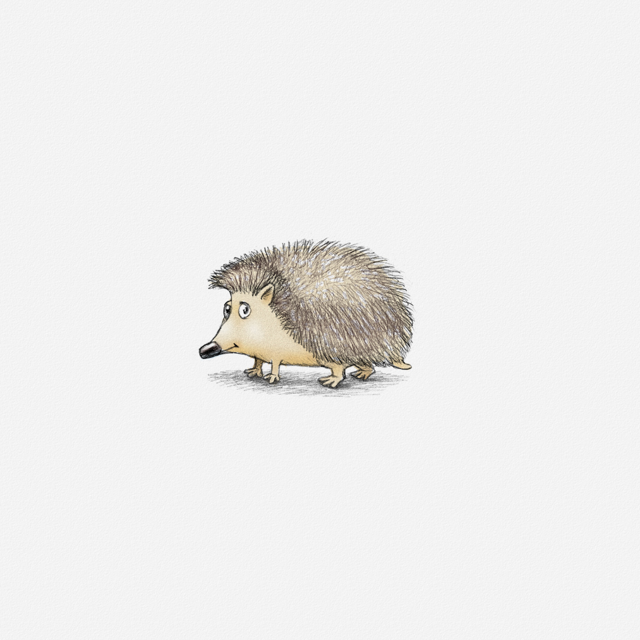 Das Hedgehog Illustration Wallpaper 2048x2048