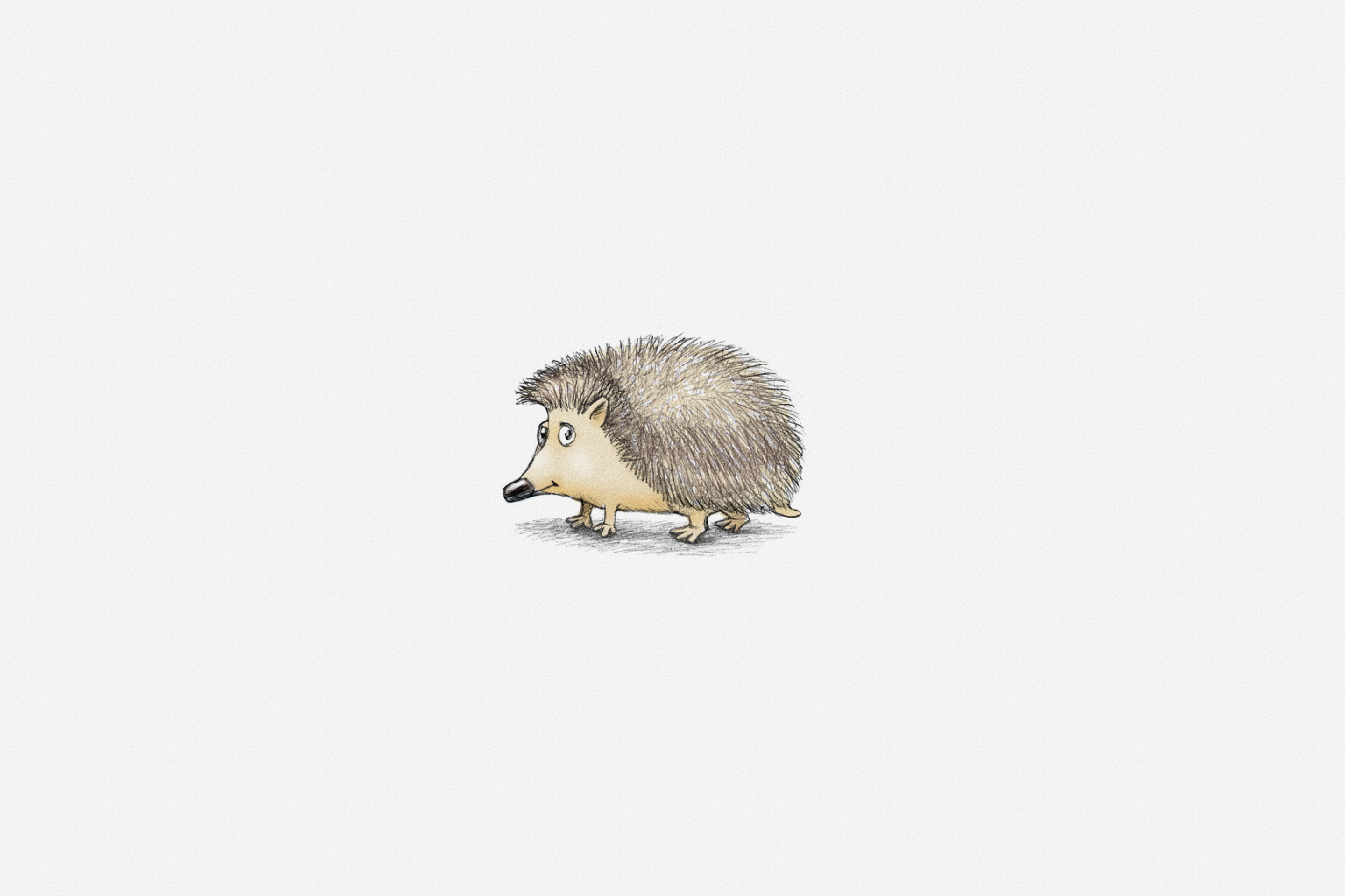 Screenshot №1 pro téma Hedgehog Illustration 2880x1920