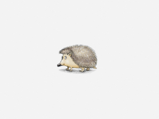 Das Hedgehog Illustration Wallpaper 320x240