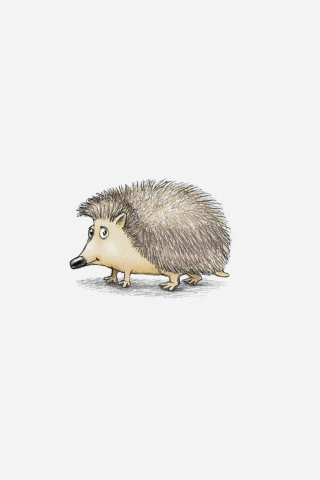 Hedgehog Illustration wallpaper 320x480