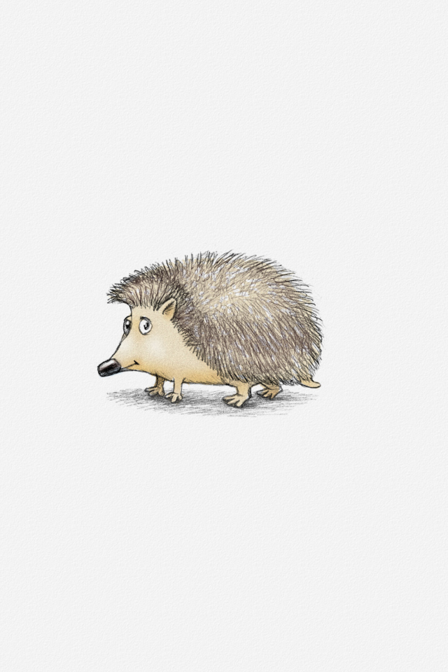 Hedgehog Illustration wallpaper 640x960