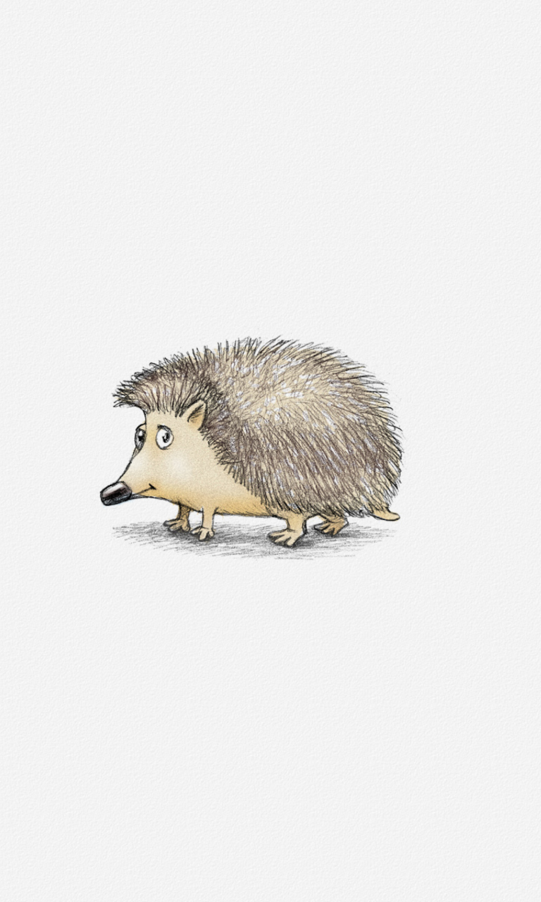 Hedgehog Illustration wallpaper 768x1280