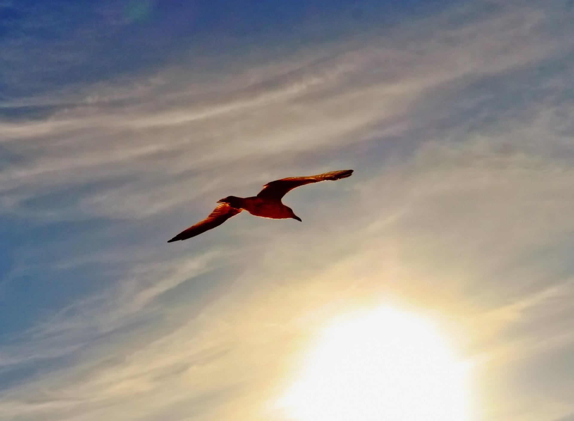 Flight At Sunset wallpaper 1920x1408