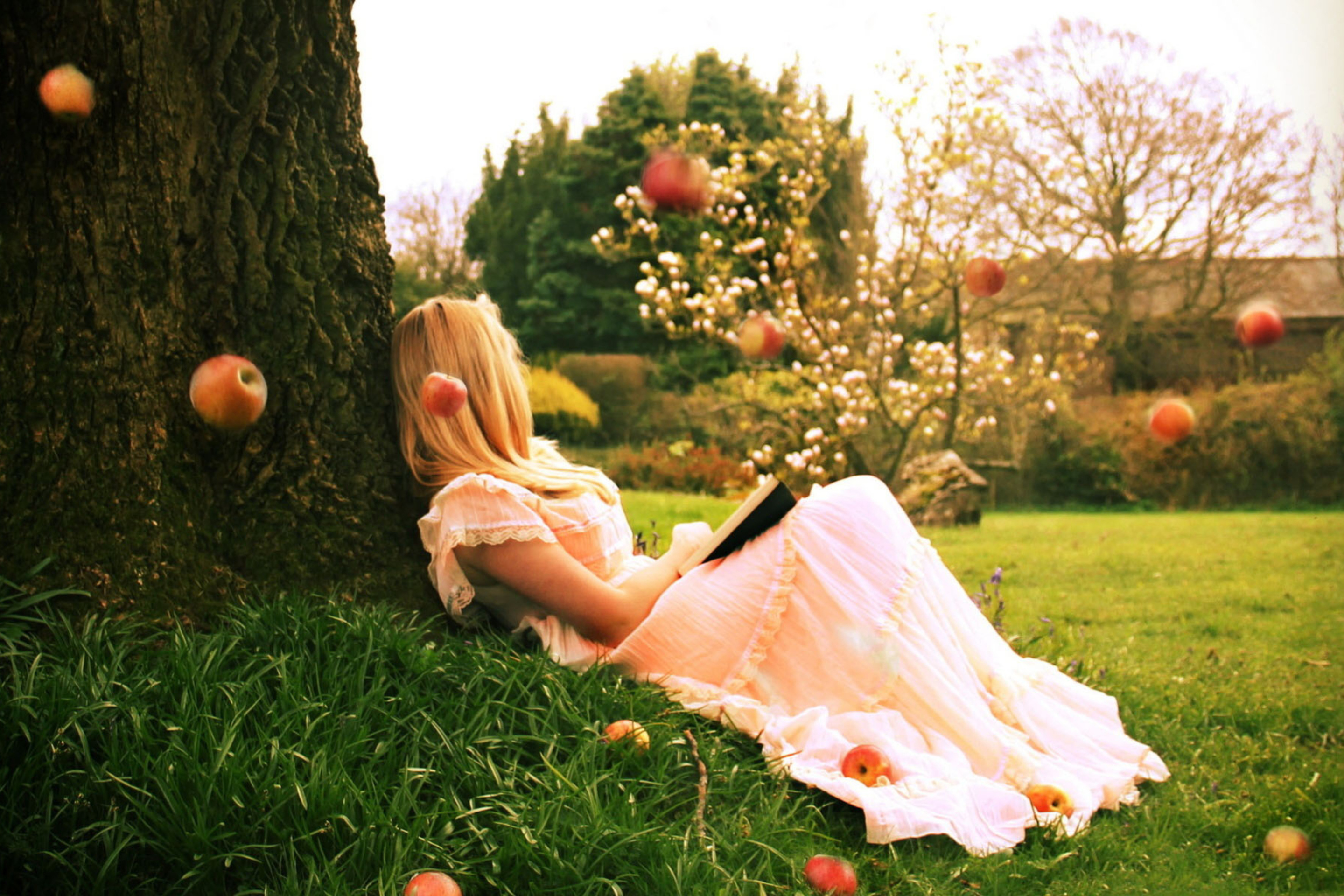 Blonde Girl Reading Book Under Tree screenshot #1 2880x1920