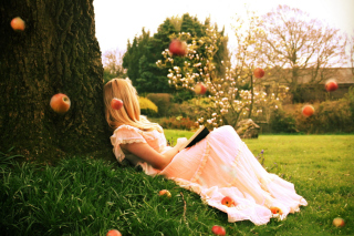 Free Blonde Girl Reading Book Under Tree Picture for Android, iPhone and iPad