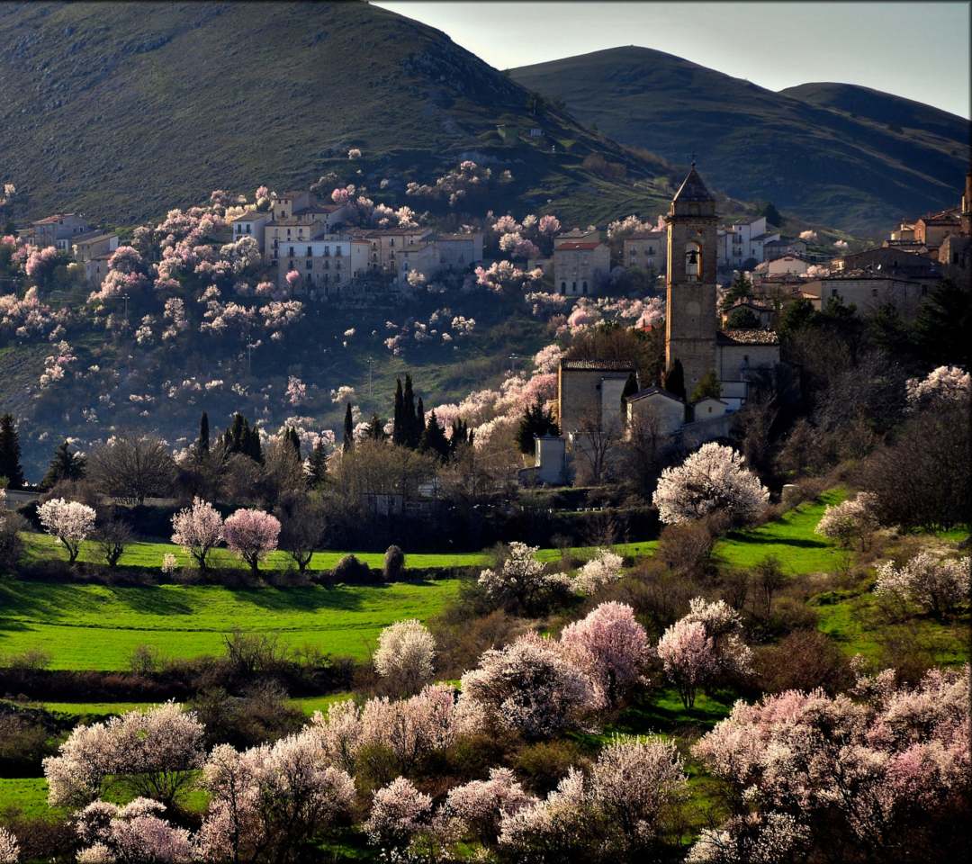 Das Italy In Bloom Wallpaper 1080x960